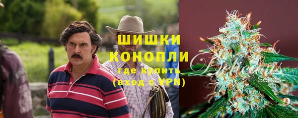 тгк Карпинск