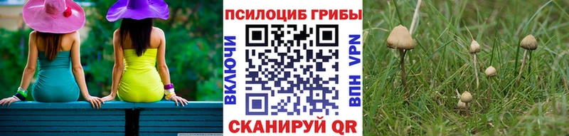 Купить где  Белёв  Псилоцибиновые грибы мухоморы 